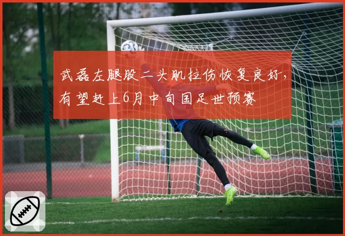 武磊左腿股二头肌拉伤恢复良好，有望赶上6月中旬国足世预赛