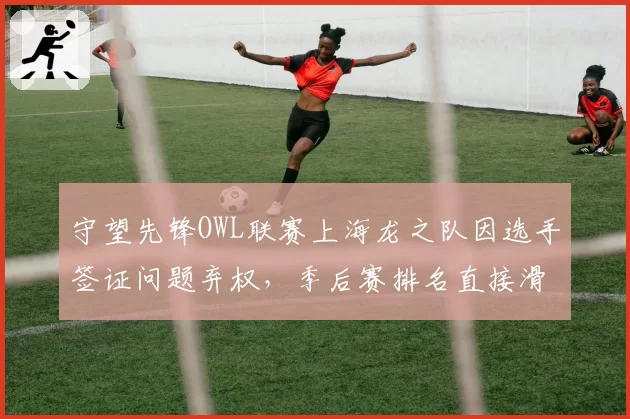 守望先锋OWL联赛上海龙之队因选手签证问题弃权，季后赛排名直接滑落