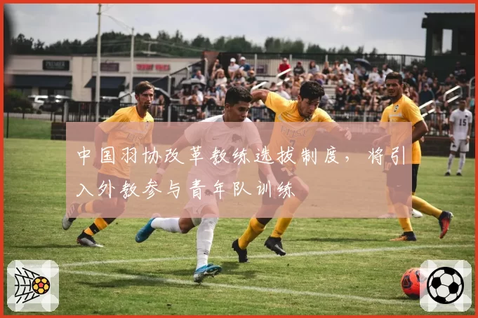 中国羽协改革教练选拔制度，将引入外教参与青年队训练