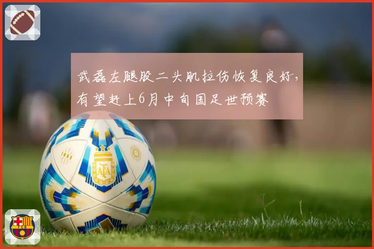 武磊左腿股二头肌拉伤恢复良好，有望赶上6月中旬国足世预赛